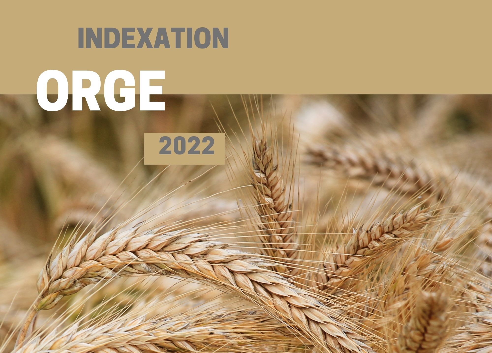 étude : INDEXATION 2022 - ORGE 